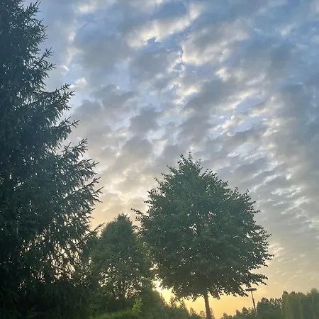 Farm stay Lesna Arena *